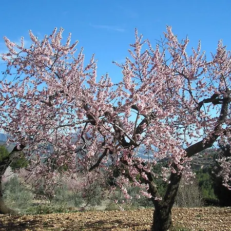 Serrella Rural Guadalest